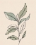 Picture of LEAFLET