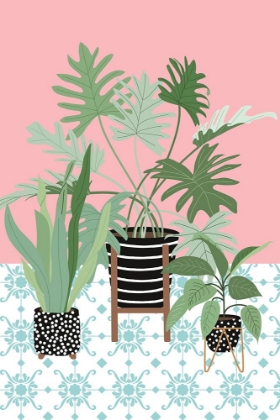 Picture of POTTED PLANTS