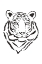 Picture of TIGER
