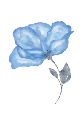 Picture of BLUE FLOWER