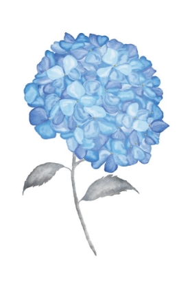 Picture of BLUE FLOWER II