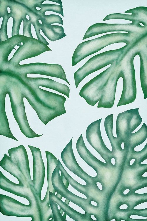 Picture of MONSTERA LEAVES