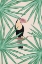 Picture of TOUCAN