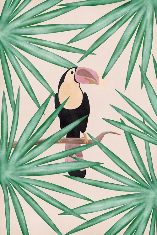 Picture of TOUCAN