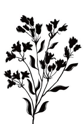 Picture of BLACK FLOWERS