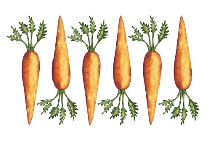 Picture of CARROTS