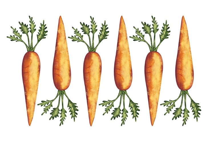 Picture of CARROTS