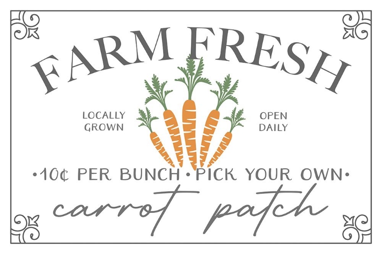 Picture of FARM FRESH CARROTS