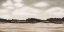 Picture of NEUTRAL LANDSCAPE