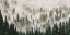 Picture of MISTY FOREST