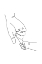 Picture of FINGER HOLD