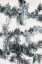 Picture of SPLATTER
