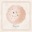 Picture of TAURUS