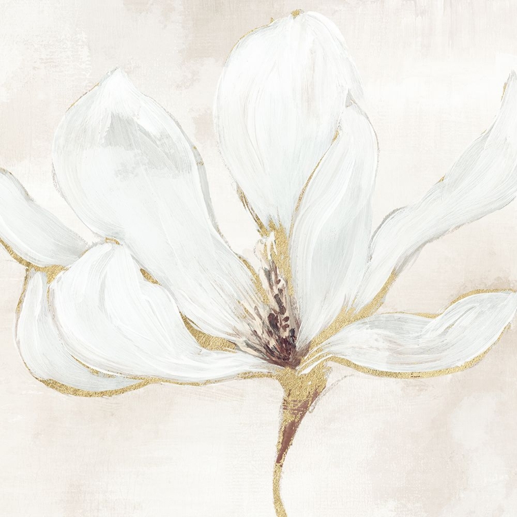 Picture of ELEGANT MAGNOLIA II