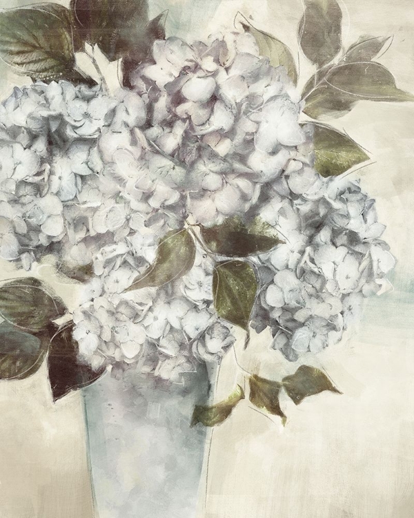 Picture of HYDRANGEA II