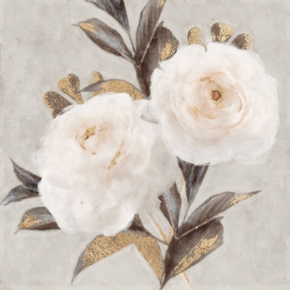 Picture of PEONIES