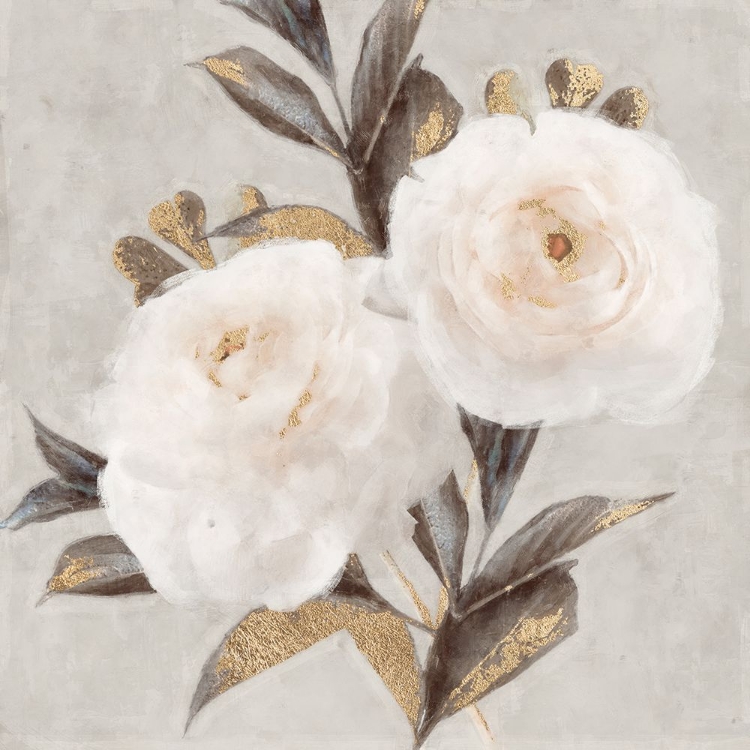 Picture of PEONIES