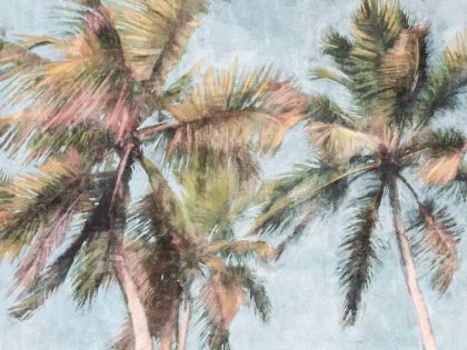 Picture of FUN PALMS