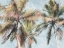 Picture of FUN PALMS