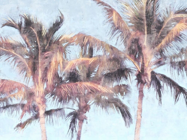 Picture of FUN PALMS II