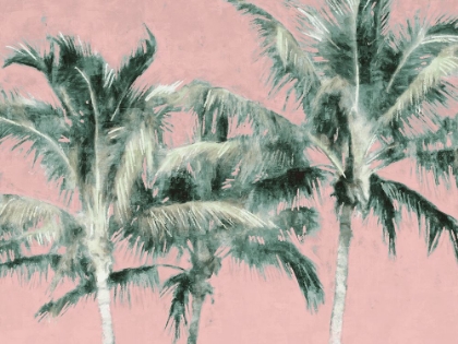 Picture of FUN PALMS II