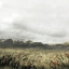 Picture of MOODY LANDSCAPE II