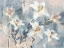 Picture of WHISPER BLOOMS II