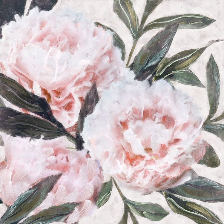 Picture of BOUNTIFUL PEONIES III