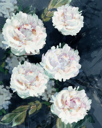 Picture of PEONY MELODY IV