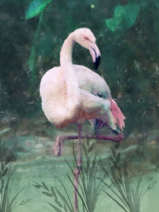 Picture of PEACH FLAMINGO II