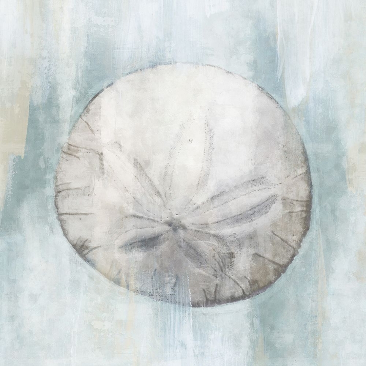 Picture of SAND DOLLAR