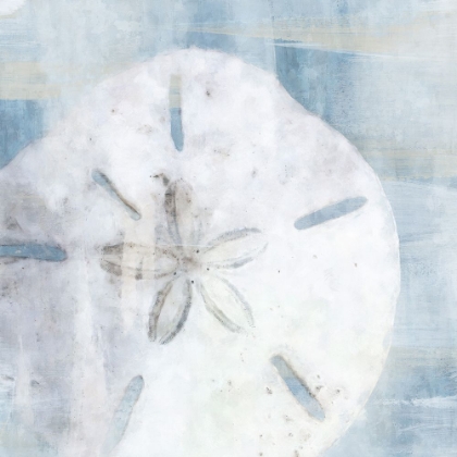 Picture of SAND DOLLAR II