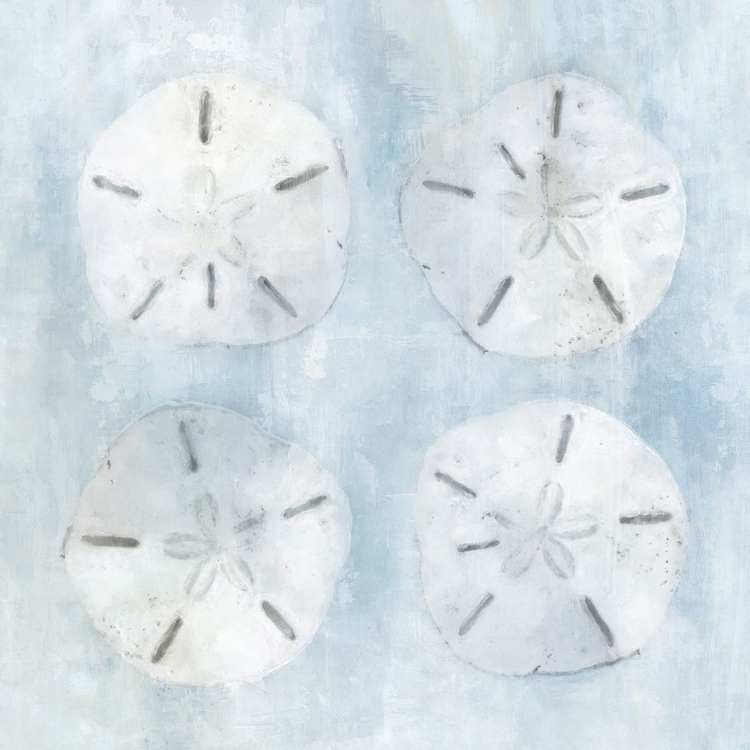 Picture of SAND DOLLARS II