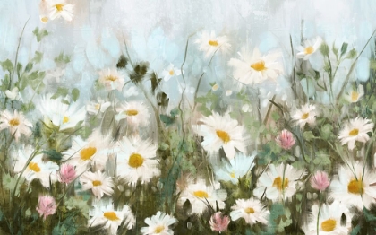 Picture of FIELD OF DAISIES