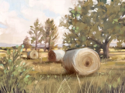 Picture of HAY BALES