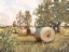 Picture of HAY BALES