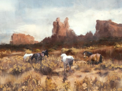 Picture of DESERT HORSES