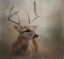 Picture of WINTER MESSENGER