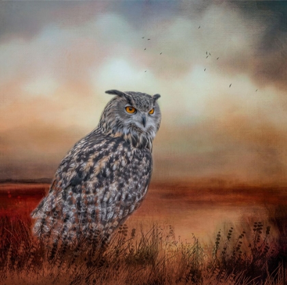 Picture of VISITOR TO THE MARSH