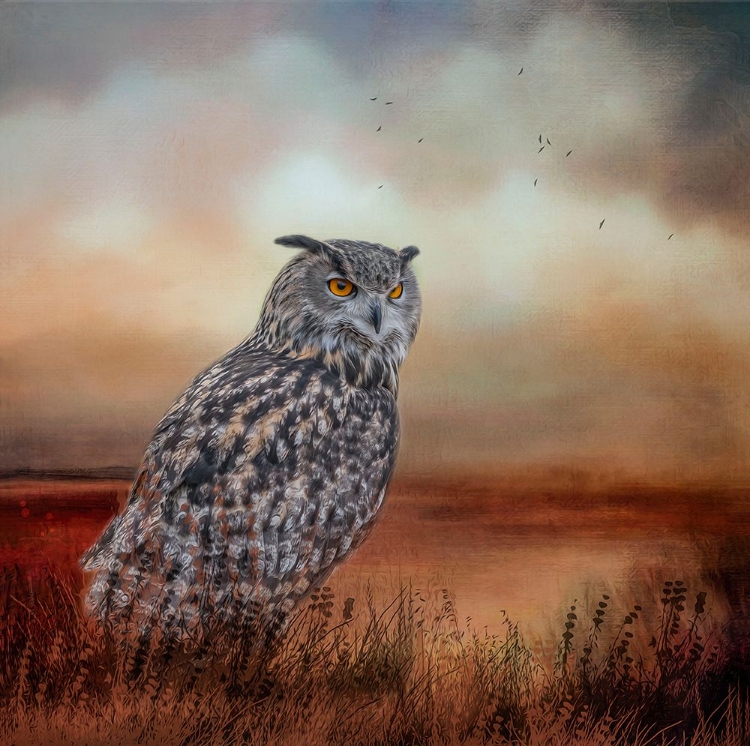 Picture of VISITOR TO THE MARSH