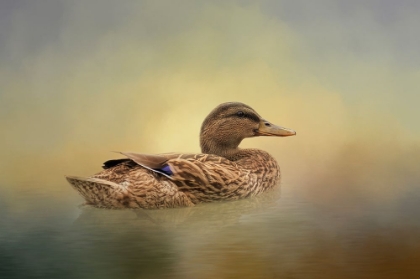 Picture of MRS. MALLARD