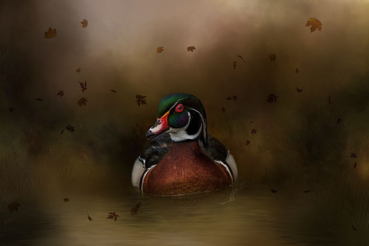 Picture of AUTUMN CRUISE