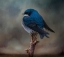 Picture of BIG BLUE BOY