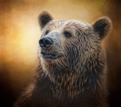 Picture of GOLDEN GLOW GRIZZLY