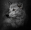 Picture of LONELY SOUL