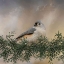 Picture of SIMPLE PLEASURES