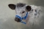 Picture of LITTLE ELMER