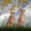 Picture of CHEETAH DREAMS