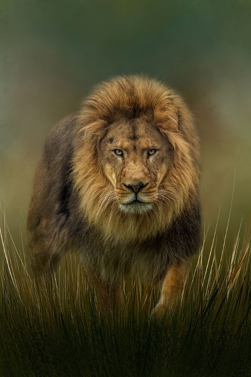 Picture of PROWLING