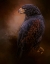 Picture of SPIRIT OF TRUTH